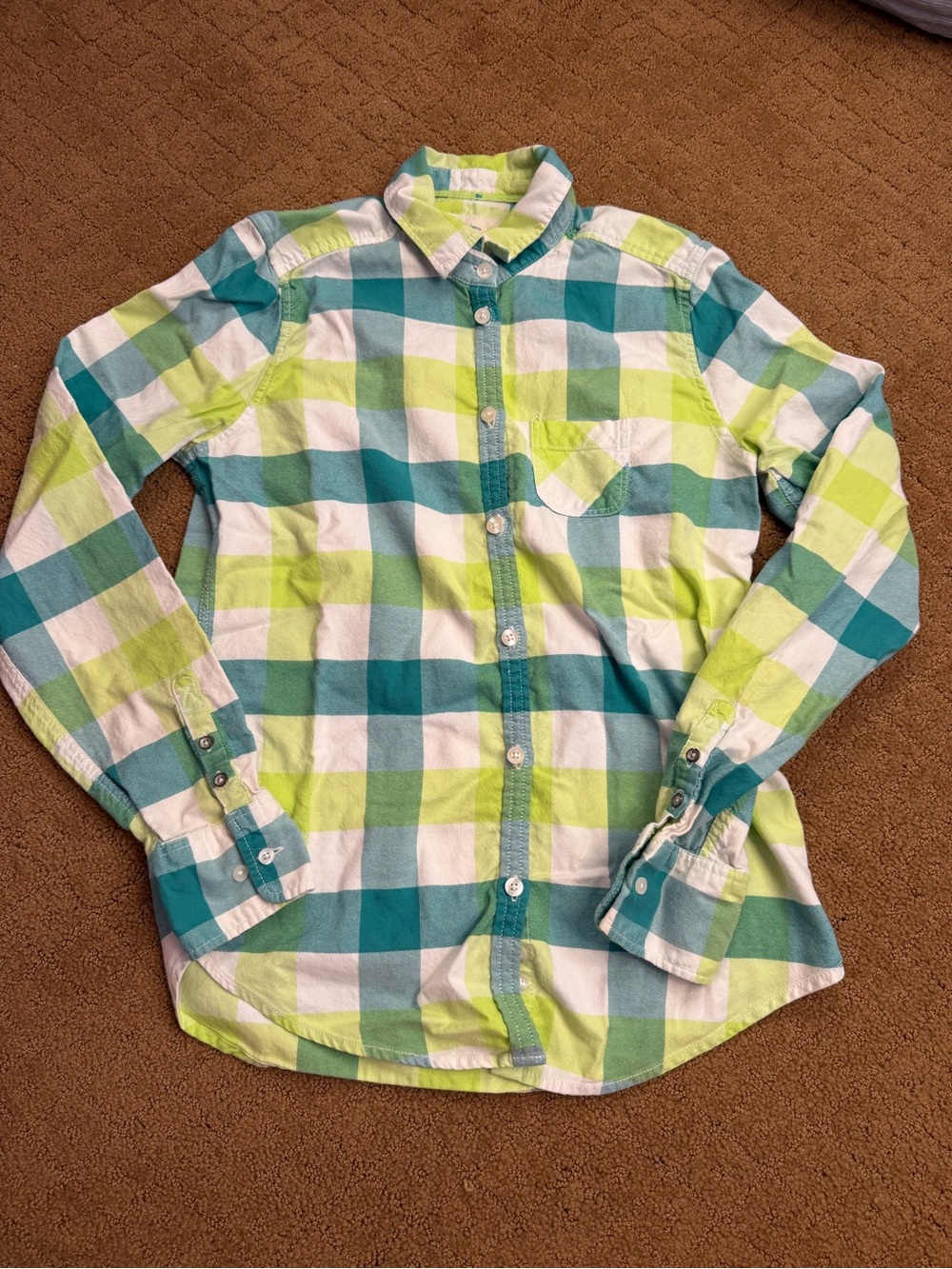 American Eagle Outfitters Blue/Green/White Plaid Button Down Flannel Women’s 6